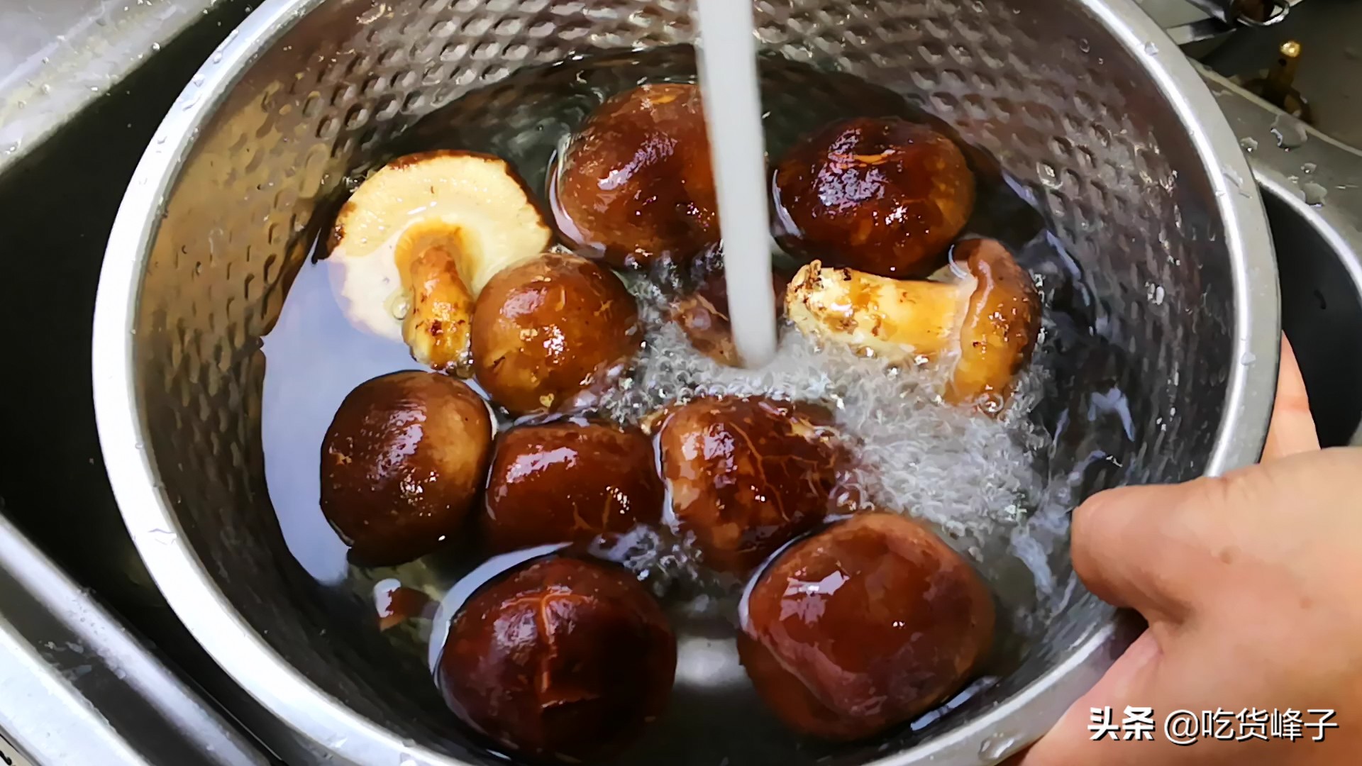 蔬菜起虫子有什么方法无公害驱虫,如何洗青菜才能将菜虫洗出来