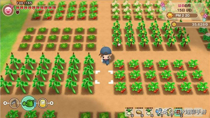 星露谷牧场物语哪个好玩,星露谷和牧场物语不一样的地方