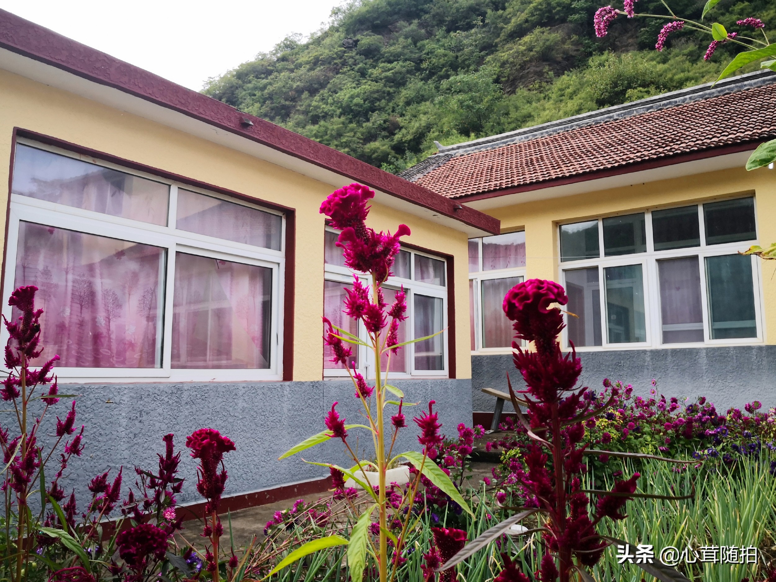 自驾白河湾,白河湾自然风景区自驾