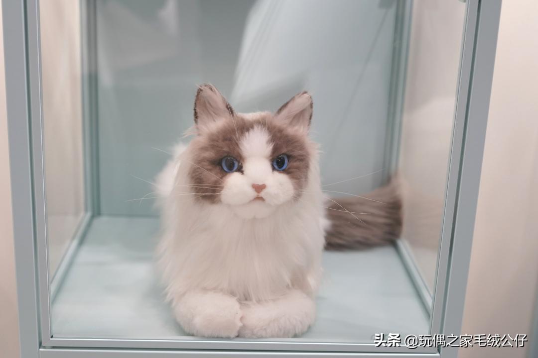 有事做有人爱有所期待深度好文,有事做有人爱有期待视频