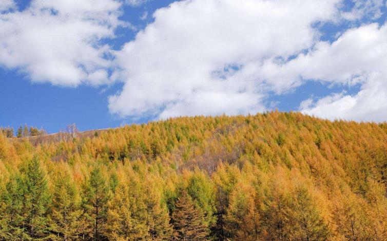 北京到江西婺源自驾游攻略,北京出发贵州自驾游最佳攻略