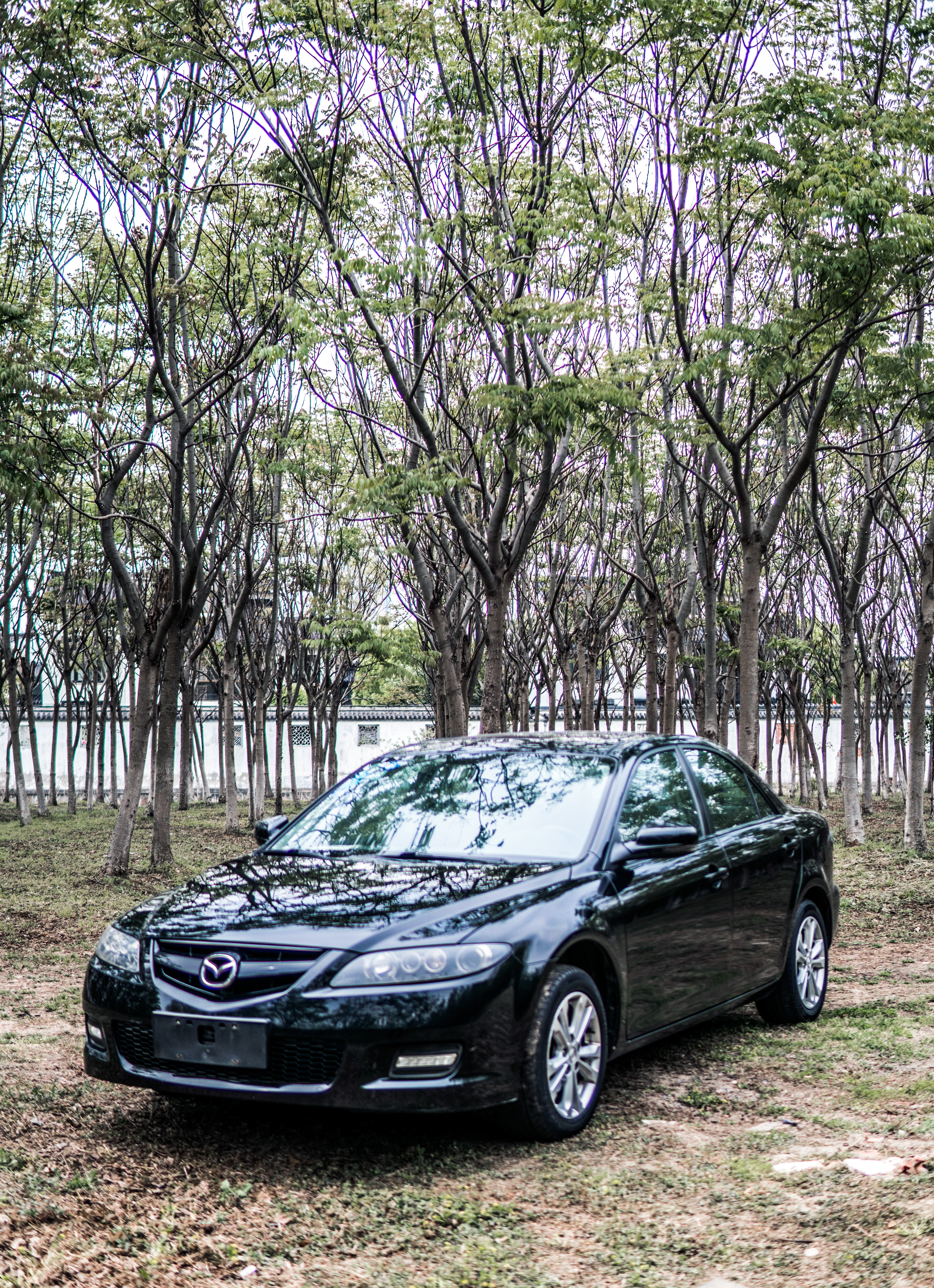 老马六买哪一年的好,老马六和现代车对比操控