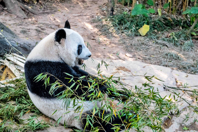寒假亲子游推荐广东,广东自驾亲子游十大排名