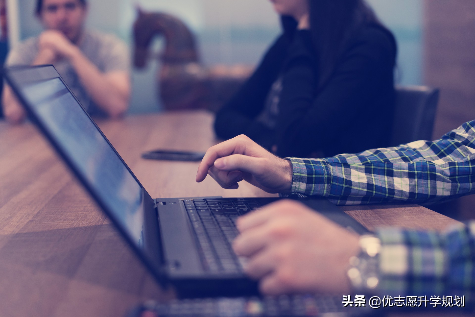 税收学专业最佳出路,税收学专业出路