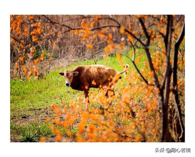王阳明讲自省,王阳明学会反省