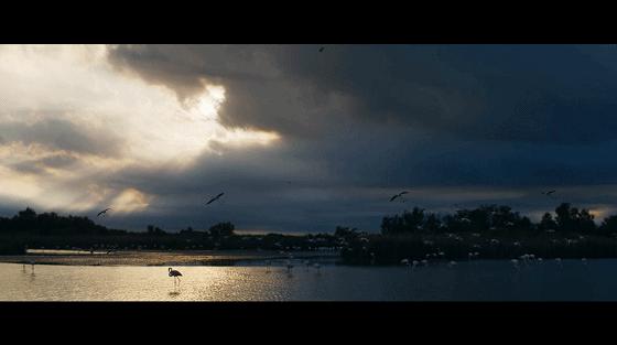 豆瓣8.8分国漫看哭,豆瓣评分最高十部冒险片