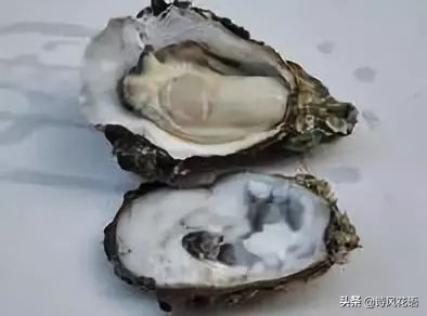 家乡印象海鲜,家乡味道舌尖上的美食