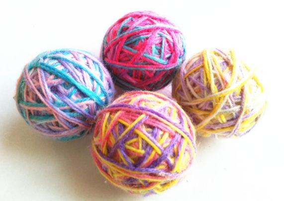 猫狗双全必备清单,猫狗主子的日常