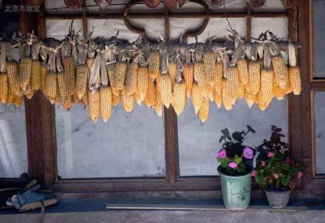 探寻古村视频,寻找神秘古村