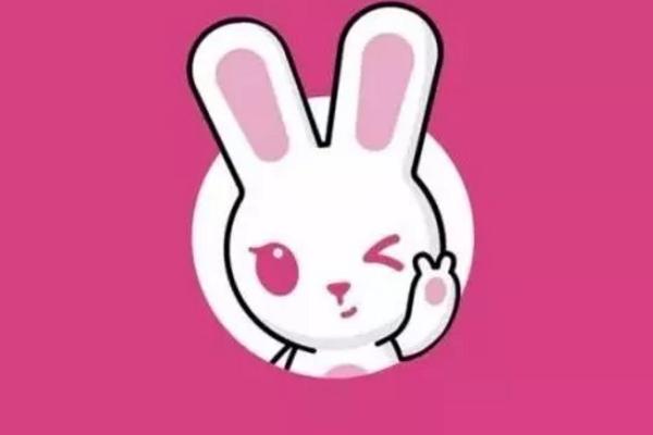 十大社交电商排名，粉象为什么能拍第一？