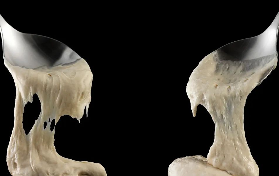 旧金山适合种植植物,旧金山为什么那么美