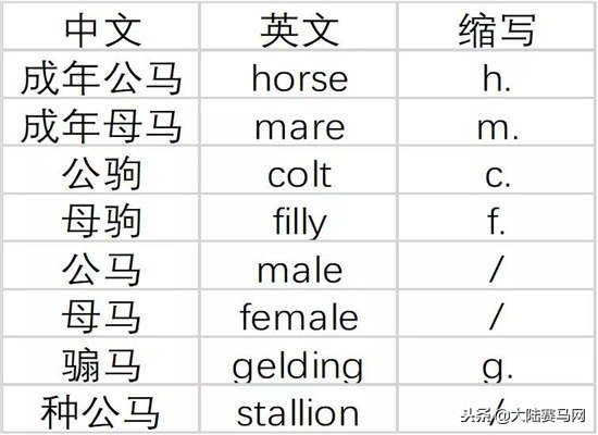 赛马课程,赛马课堂教学