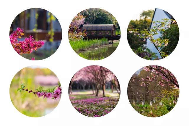 月子坐好了年轻不显老,月子如何坐能更好恢复