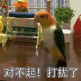 泫雅同款香奈儿编织包,泫雅假两件背心