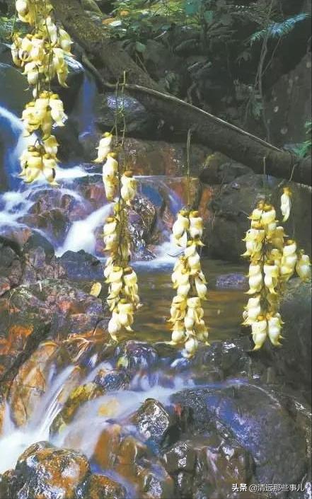 清城区小众景点,清远隐藏玩山水的地方