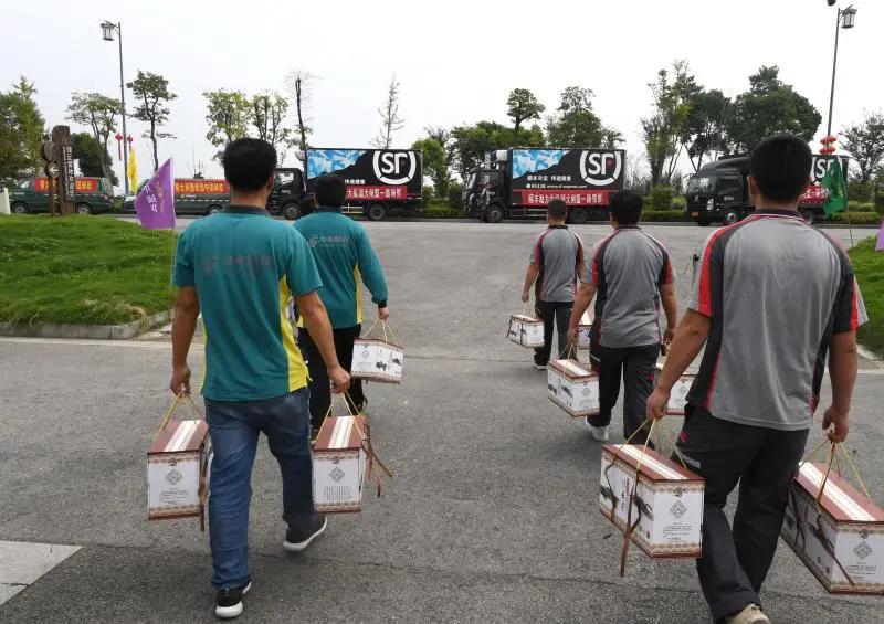 大纵湖大闸蟹价格表,大纵湖大闸蟹今日价格