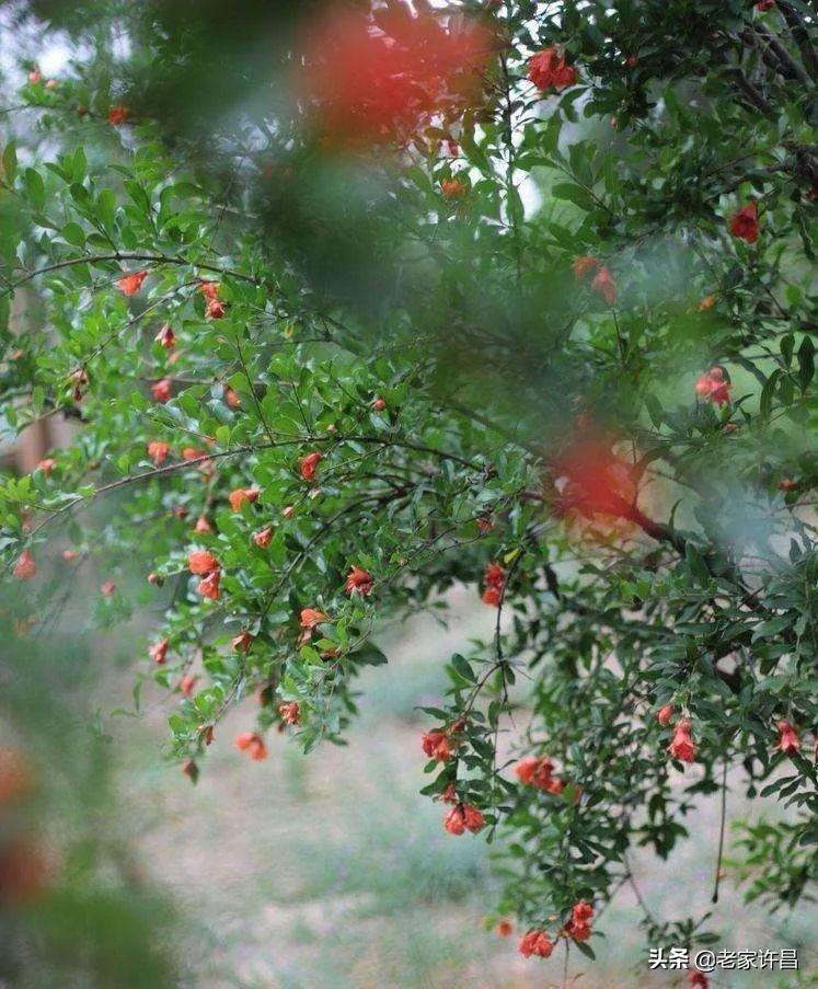 真实故事时光一去不复返,真实故事之无法回头