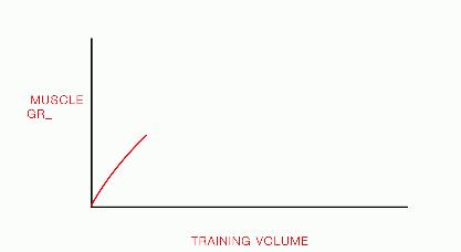 max训练健身,max锻炼法