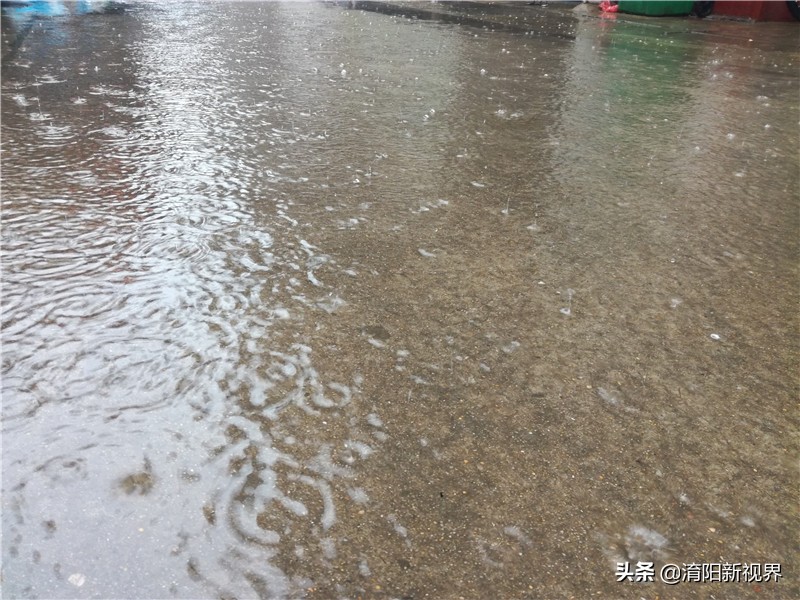 南阳八月七日下午这场雨，说来就来也不给你打个招乎