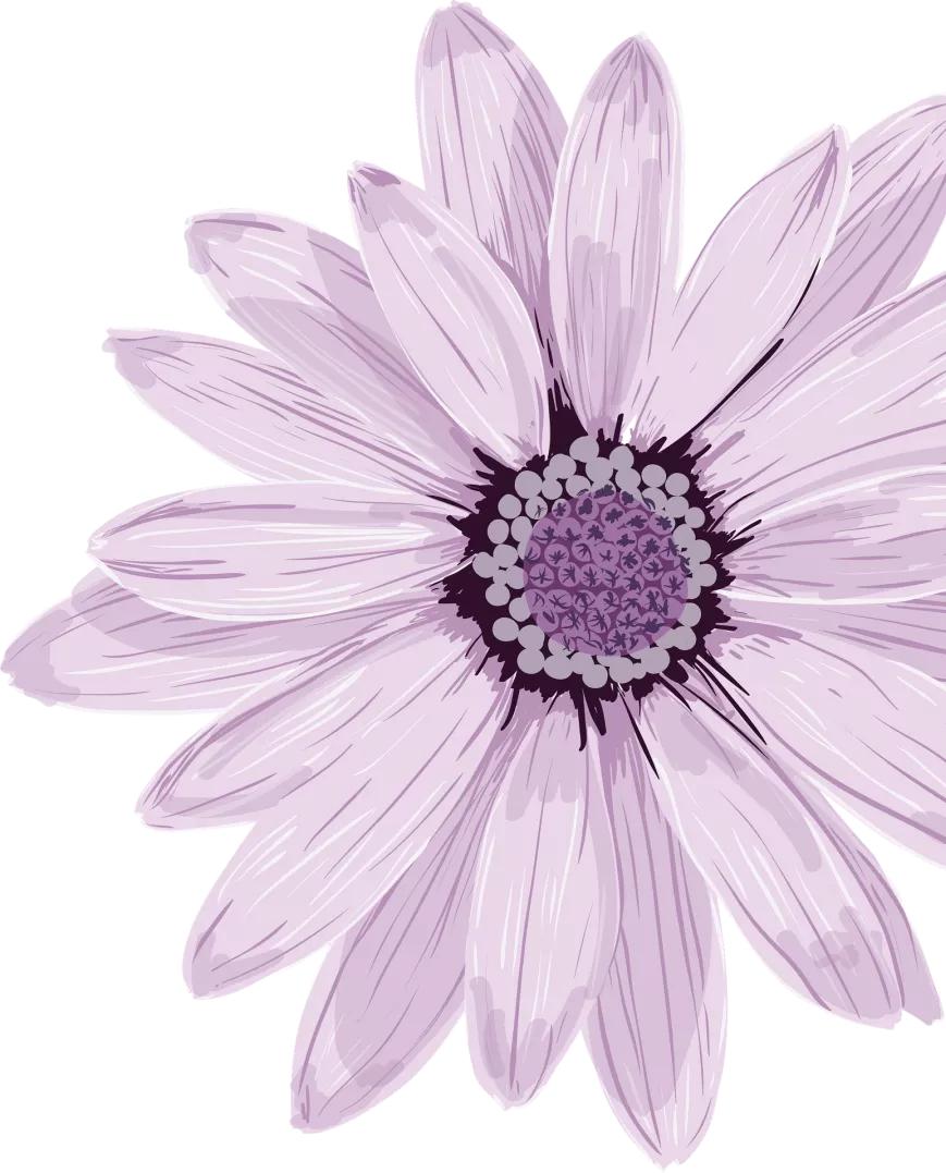 检影验光步骤口诀,检影法是什么