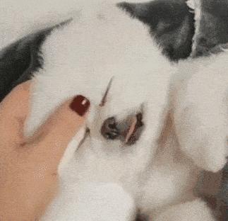 南京熊猫眼门诊,熊猫眼黑眼圈可以看医生吗