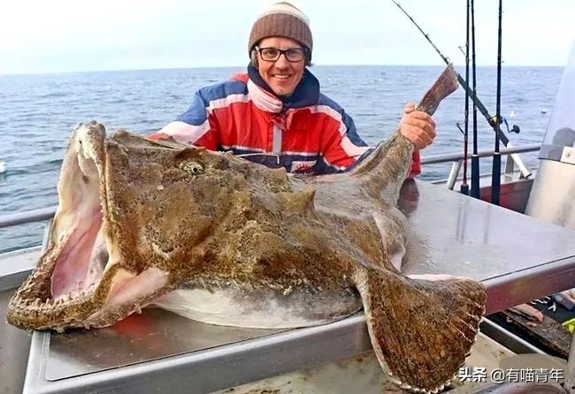 12个动物啪啪啪知识，最后一个想笑死谁？