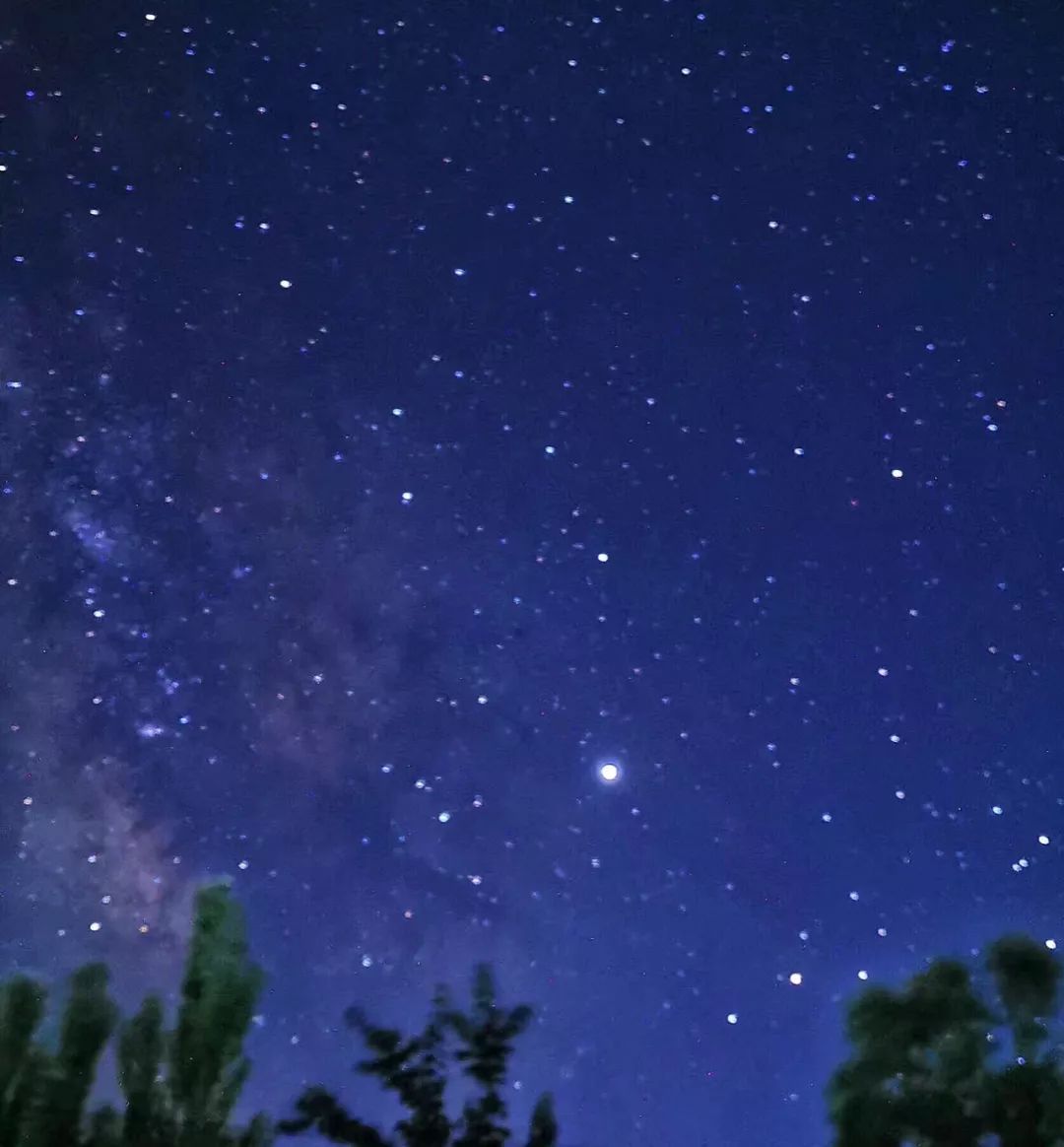 东方普罗旺斯薰衣草,伊犁的薰衣草哪个最大
