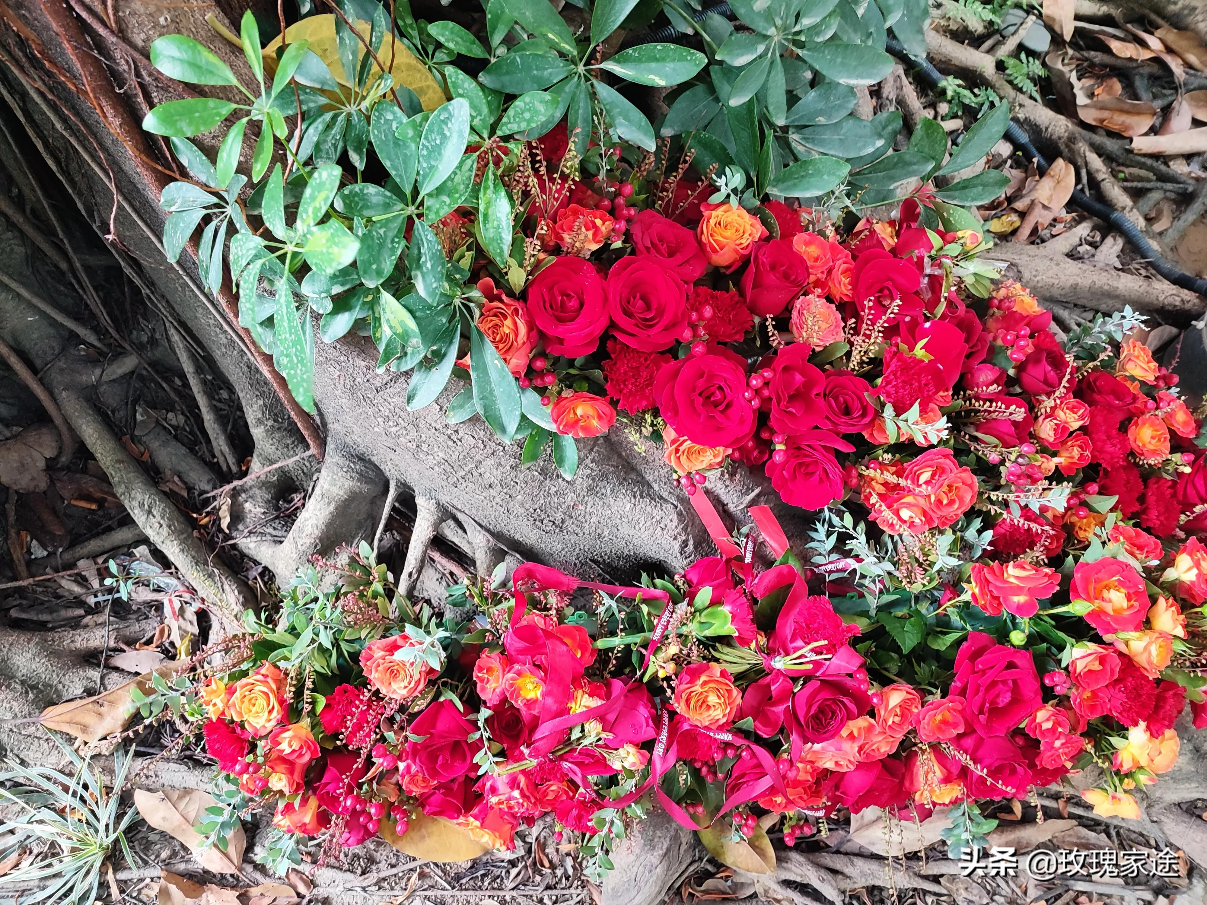 贤贤易色出自论语的哪一章,论语中如何做到英才施教