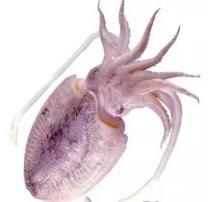 门牙黄变白的简单方法,牙黄怎么弄都不白咋办