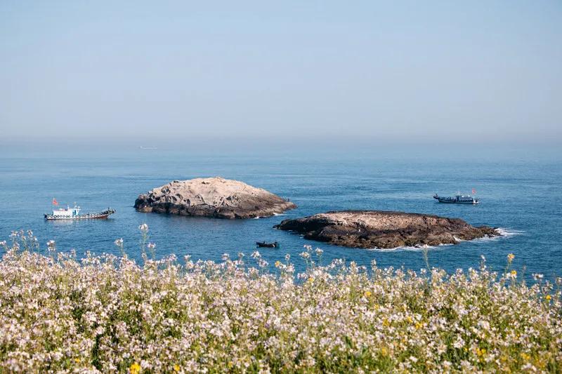 有了这座小县城,封海也封不住浙江人吃海鲜的嘴