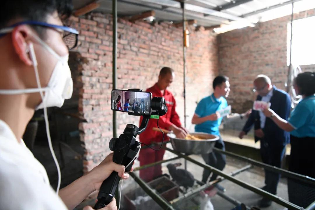 供销社如何做好农产品销售,供销社助农销售方案