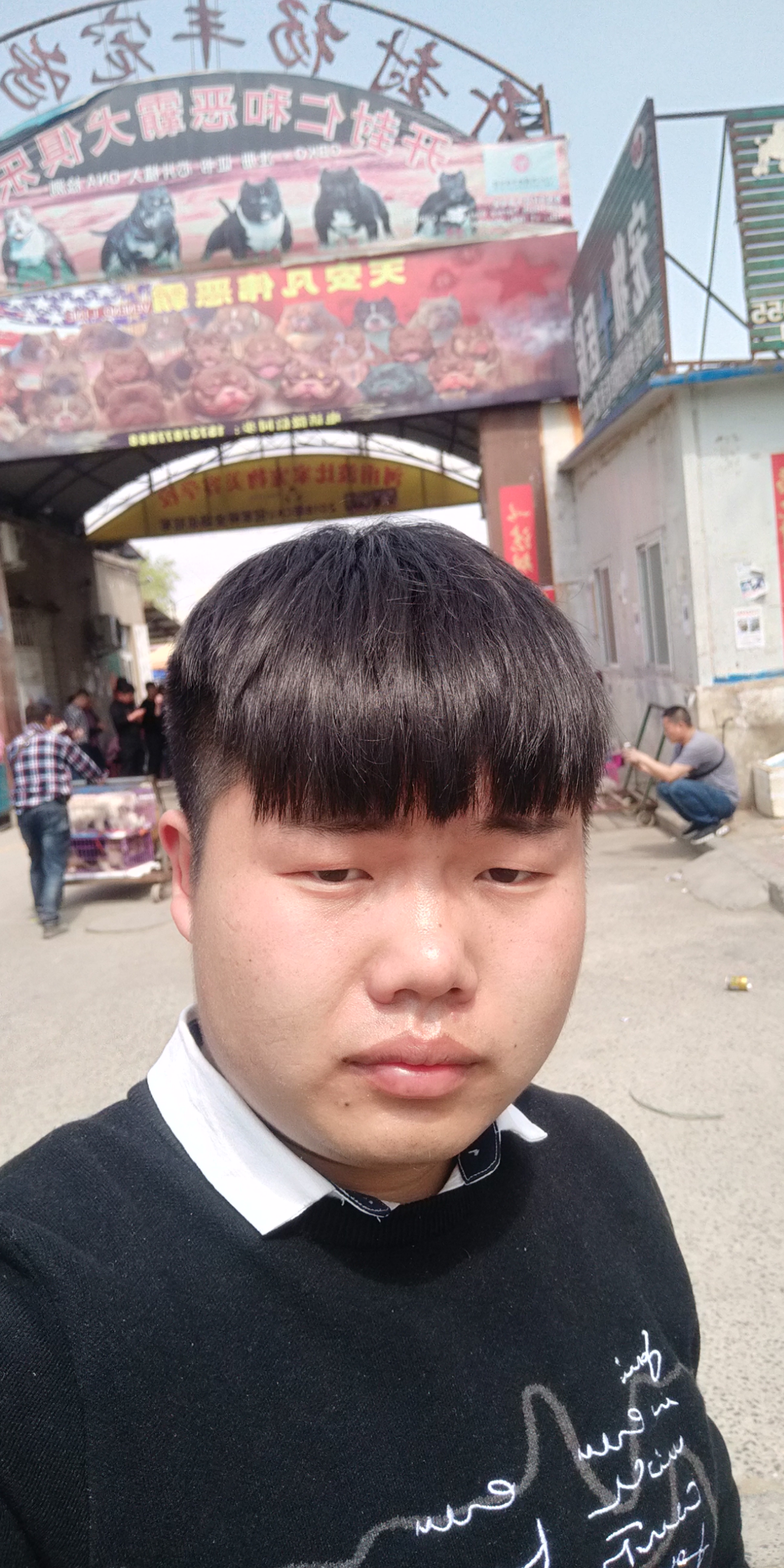 开封四大狗市排名,四种公认最好的狗市