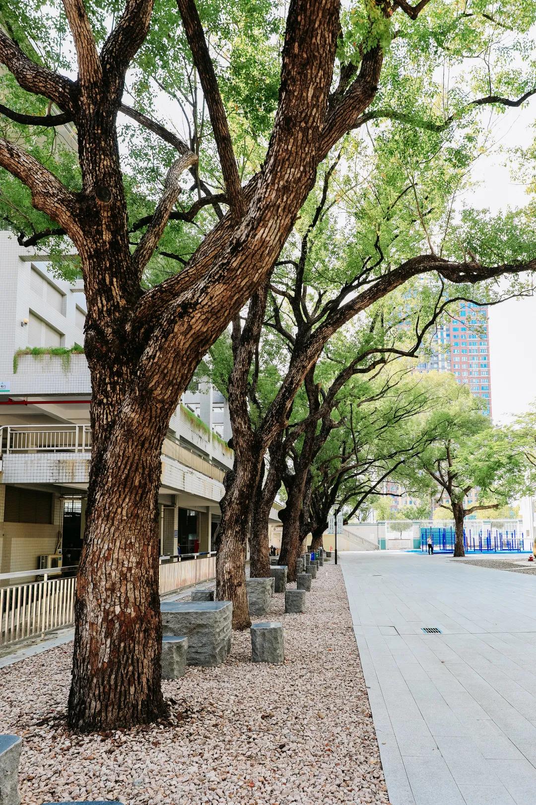 漫游东游西荡,漫游深圳城市