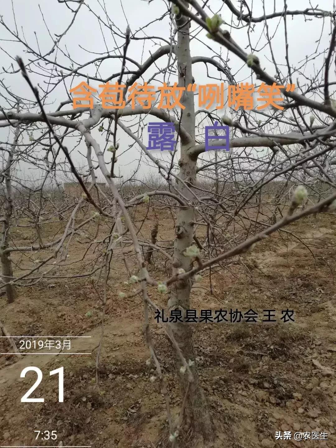 一线实战专家,一线实战导师经验丰富