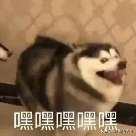 一个常用字却有很多人读错了,有哪些容易读错的常用字