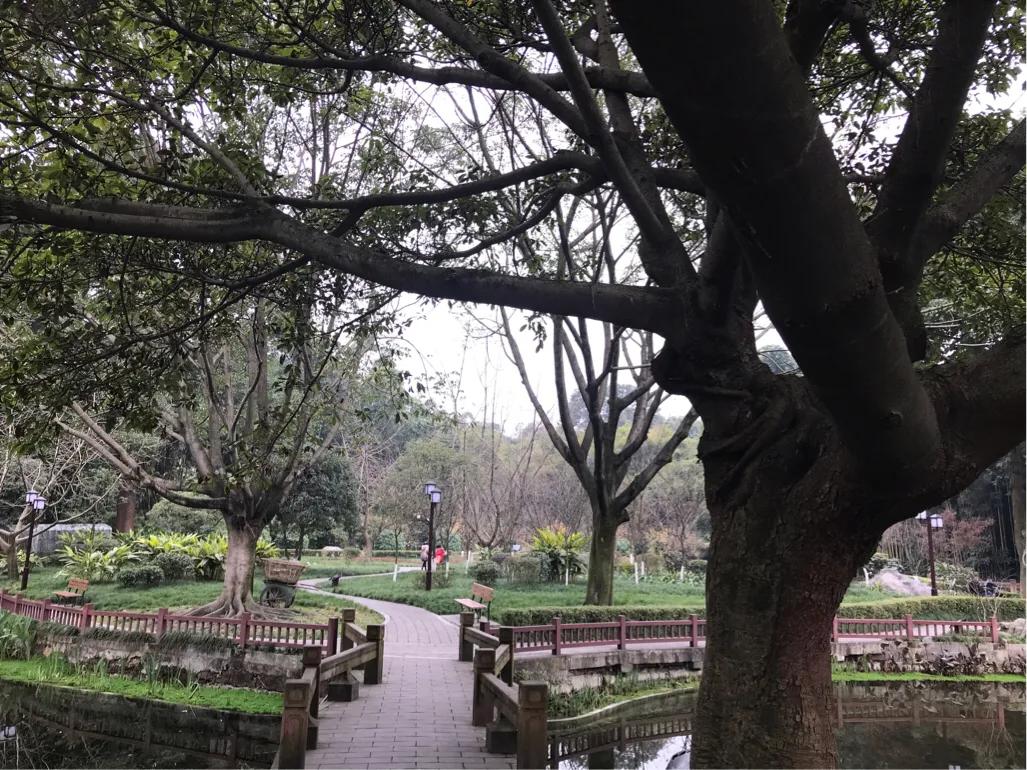 成都望江楼公园简介,成都望江楼公园要门票吗