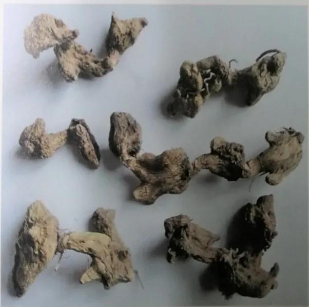 止血收敛的药有哪些,收敛止血中成药有哪些