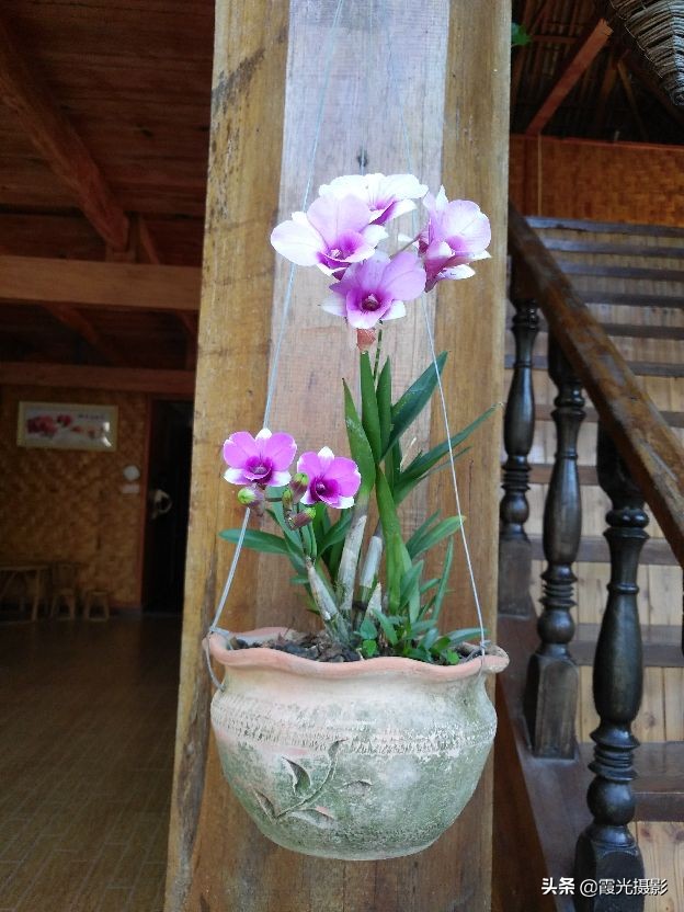 云南西双版纳的傣族园,西双版纳傣族园旅游景区