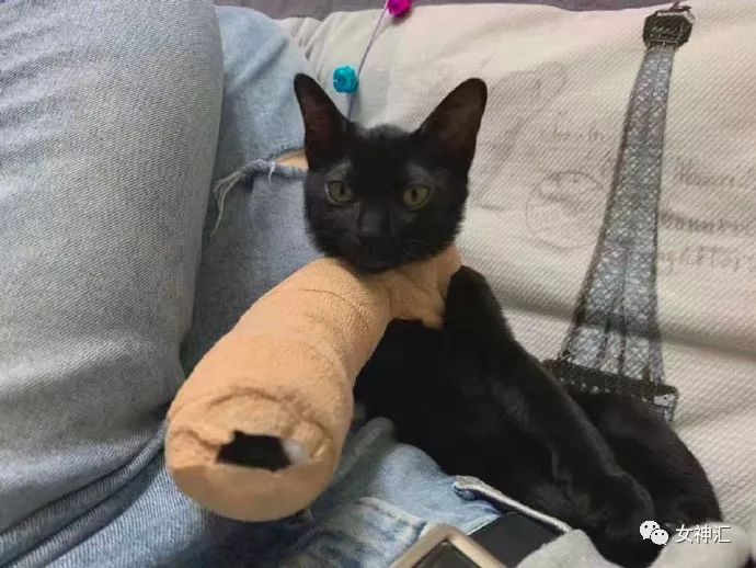 “不带口罩试试,试试就逝世!”网友:哈哈这操作令人瑟瑟发抖