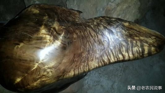 俗语:宁烧紫檀,不舍阴沉木,为啥?阴沉木很贵吗?如何辨真假?