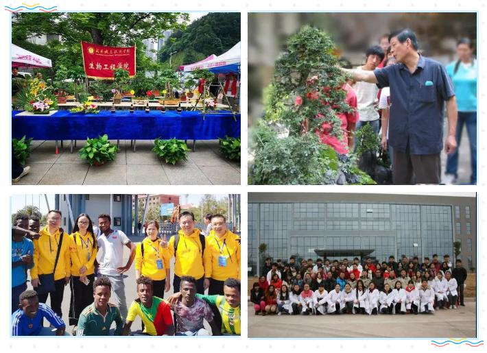 云游咸职，哪个院系是你的菜？