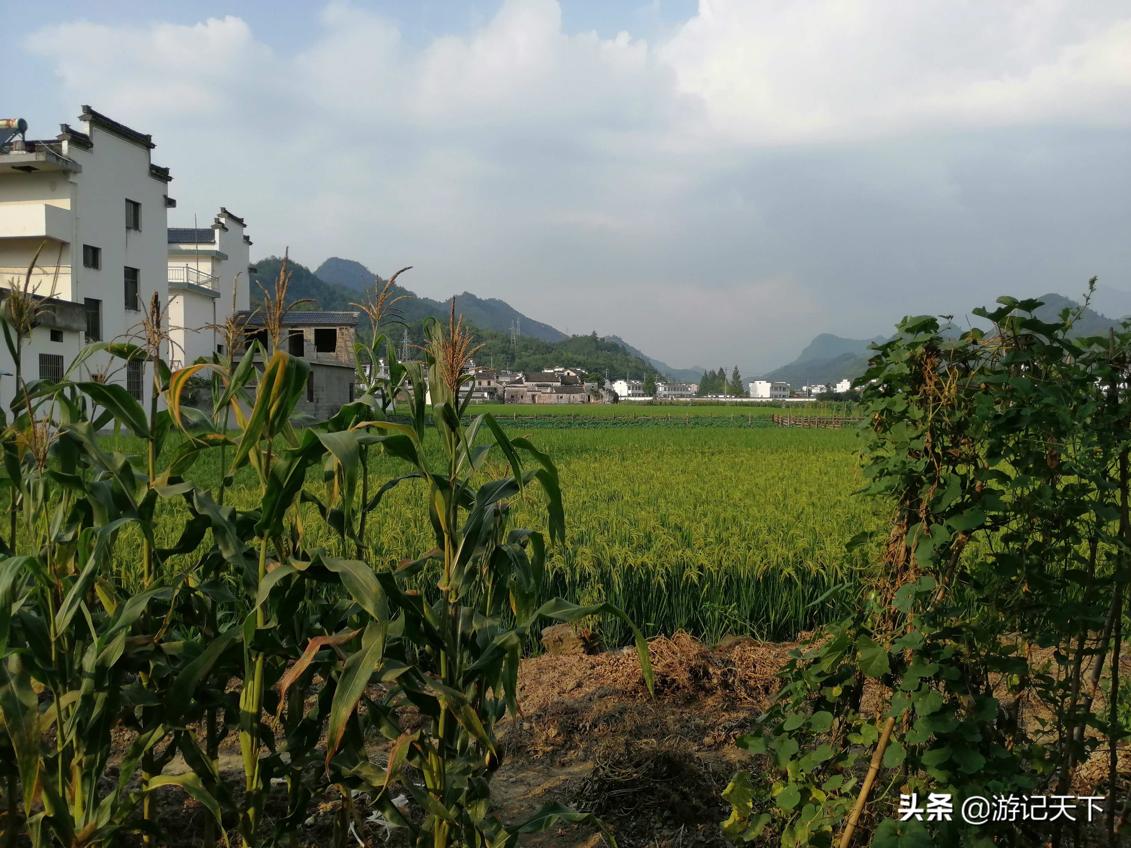 博导带我游龙川——阿尼亚房车伴我走天涯