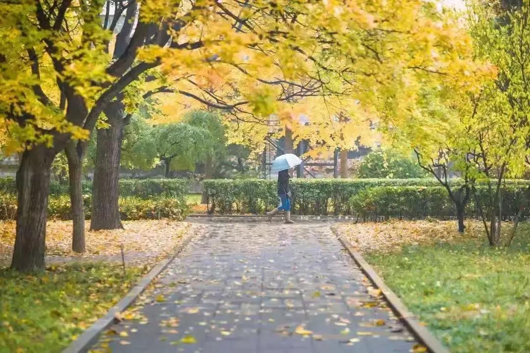 北京科技大学招研究生简章,北京科技大学官网研究生招生简章