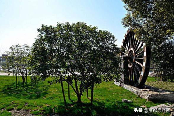 郑州野生动物园开园,郑州长隆动物园