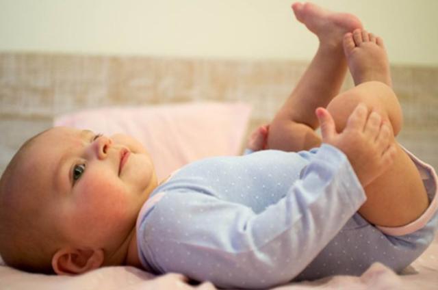 可以用湿纸巾擦屁股吗,刚出生小狗可以用湿纸巾擦屁股吗