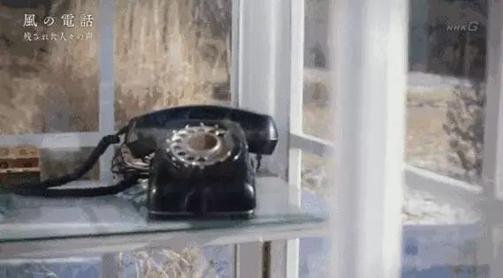 日本高分纪录片免费观看,日本的高分纪录片