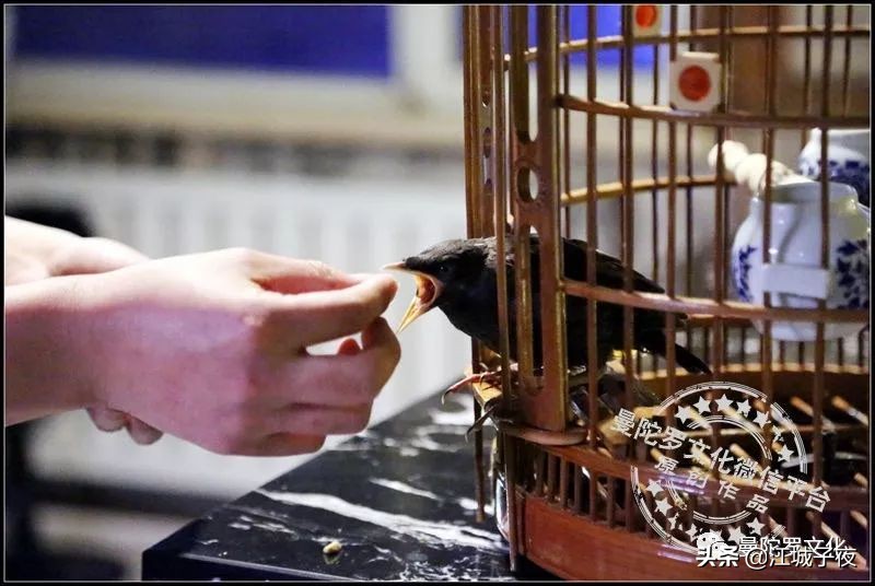 吉林市属于北国江城吗,北国江城吉林市视频