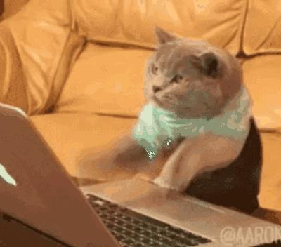 为什么你打游戏队友这么菜,为什么你打游戏那么菜下一句