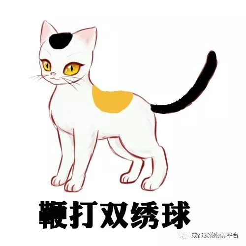 谁说土猫无名猫?快来围观古代猫谱,你家有没有镇宅神兽!