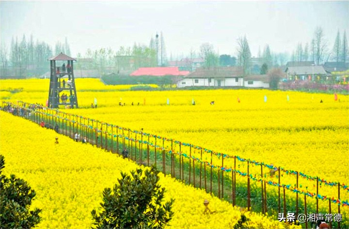 书写安乡情讴歌新时代——章绍君春联集锦